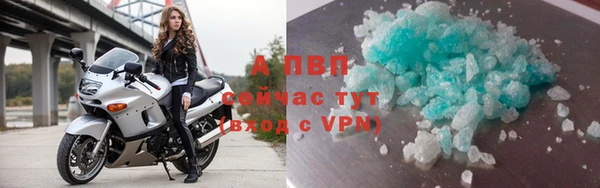 дживик Няндома