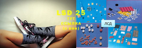 сатива Осинники