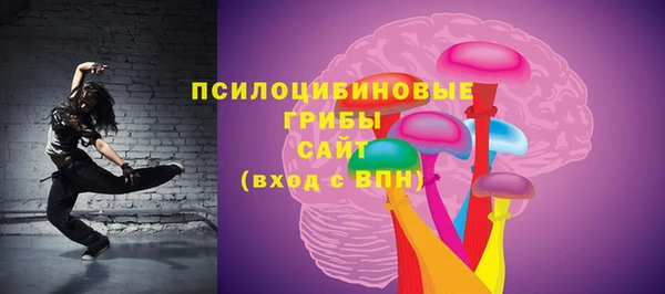 прущие крисы Гусев