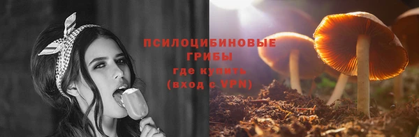 спайс Сосновый Бор