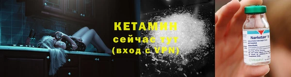 дживик Няндома