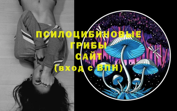 дживик Няндома