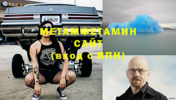 дживик Няндома