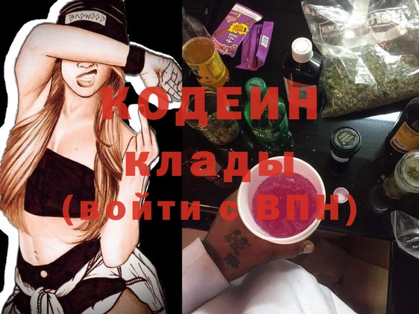дживик Няндома
