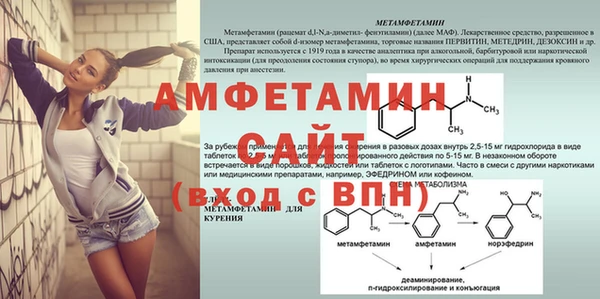 дживик Няндома