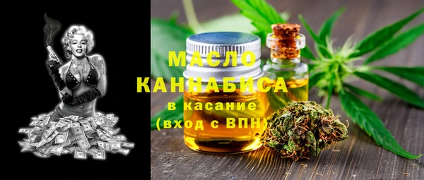 дживик Няндома