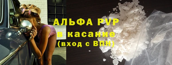 сатива Осинники