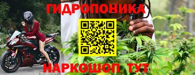 дурь Камышлов