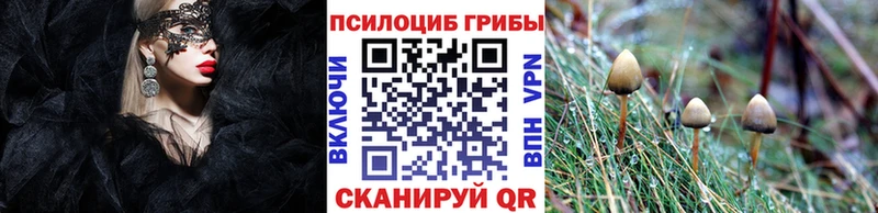 Галлюциногенные грибы GOLDEN TEACHER  наркошоп  Алапаевск 