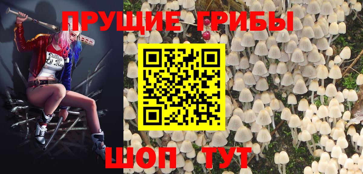 Алапаевск  Псилоцибиновые грибы Psilocybine cubensis  Вход с VPN  Галлюциногенные грибы ЛСД 